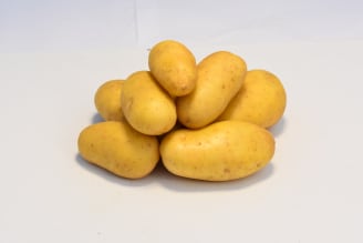 Pomme de terre & tubercule - Jardiland