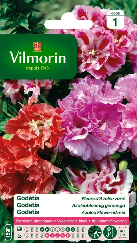 Vilmorin - Graines de Godétia Fleurs d'Azalée Varié - 2 g - Jardiland