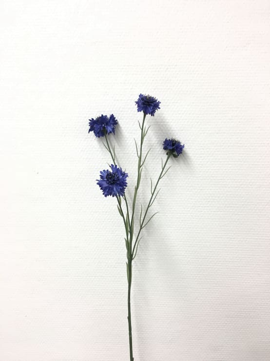 Tige bleuet bleu artificielle 72 cm - Jardiland