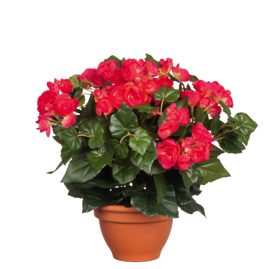 Bégonia Rouge artificiel en pot terre cuite H.37 x Ø 35 cm - Jardiland