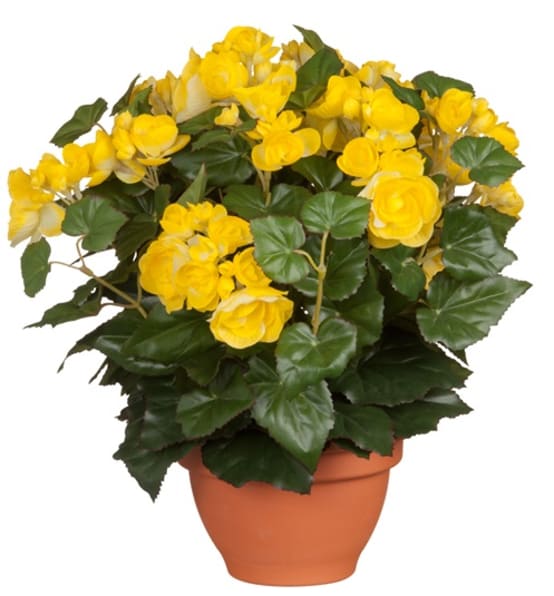 Begonia jaune artificiel en pot H.37 x O 35 cm - Jardiland