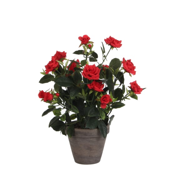 Rosier Rouge Artificiel en pot Stan gris H.33 x Ø 25 cm - Jardiland