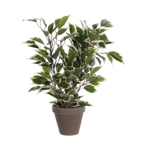 Ficus Natasja artificiel en pot H.40 x Ø 30 cm - Jardiland