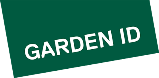 Garden ID - Garden ID - Petit cochon rose polyrésine L.19 x l.8,3 x H.15 cm - Image 2