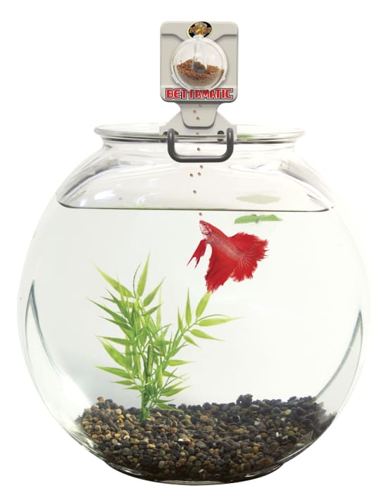 Bettamatic Betta Feeder BF1 Jardiland