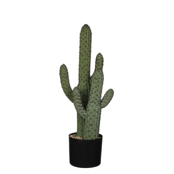 Plante artificielle - Cactus vert en pot plastique - H.60cm - Jardiland