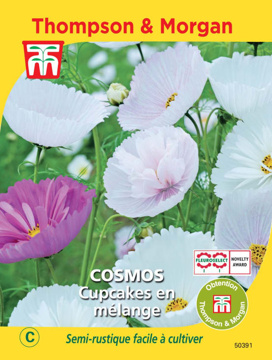 Graines de Cosmos Cupcakes en mélange - Jardiland