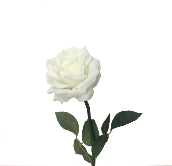 Kalyste - Tige de rose blanche artificielle H.65 cm - Jardiland