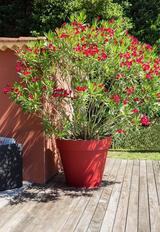 EDA Plastiques - Pot de fleurs rond Toscane rouge rubis Ø100 cm - Image 4