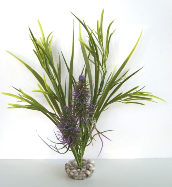 Inwa Kit promo Aquarium Confort 60 gris Jardiland