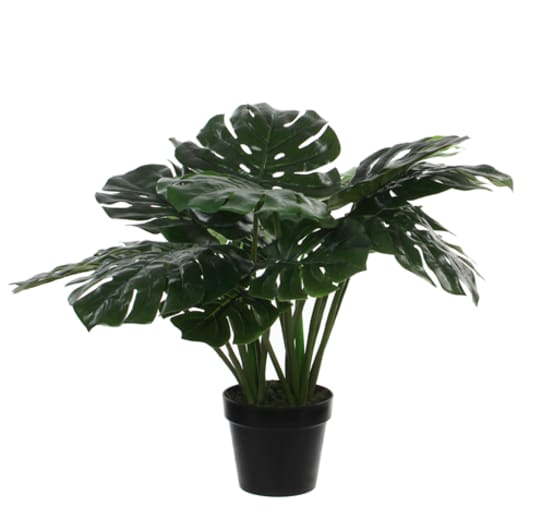 Monstera artificiel en pot plastique H.60 x Ø 80 cm - Jardiland