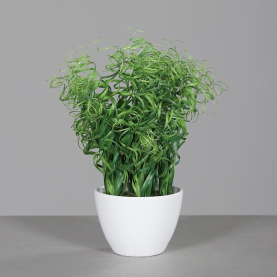 DPI - Herbe frisée artificielle en pot plastique blanc H.34 cm - Jardiland