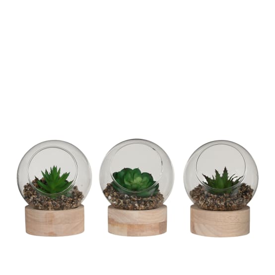 Succulente artificielle en terrarium Ø.10 x H.10 cm - Jardiland