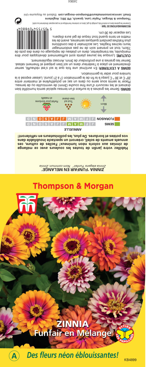 Thomson & Graines Zinnia Funfair en mélange Jardiland