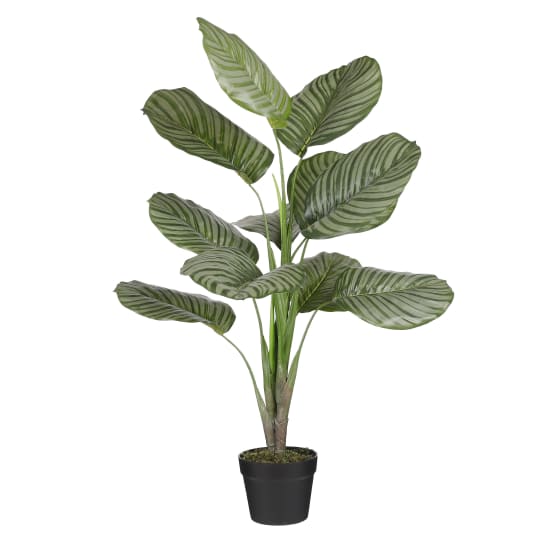 Calathea orbifolia en pot vert -polyester-Vert- h90xd60cm - Jardiland