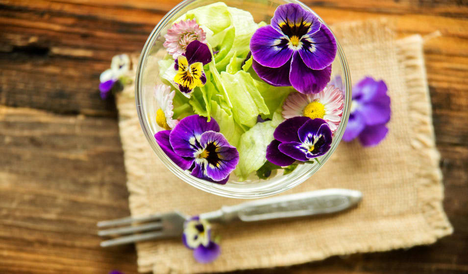 14 fleurs comestibles à cultiver - Jardiland