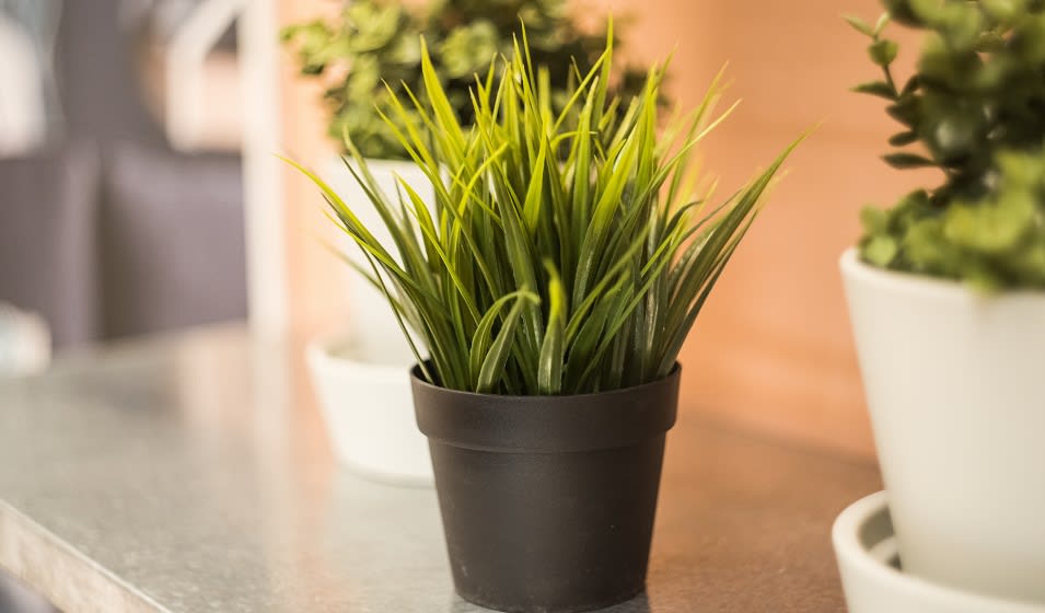 Plante artificielle de salon : laquelle choisir pour la décoration ? -  Jardiland