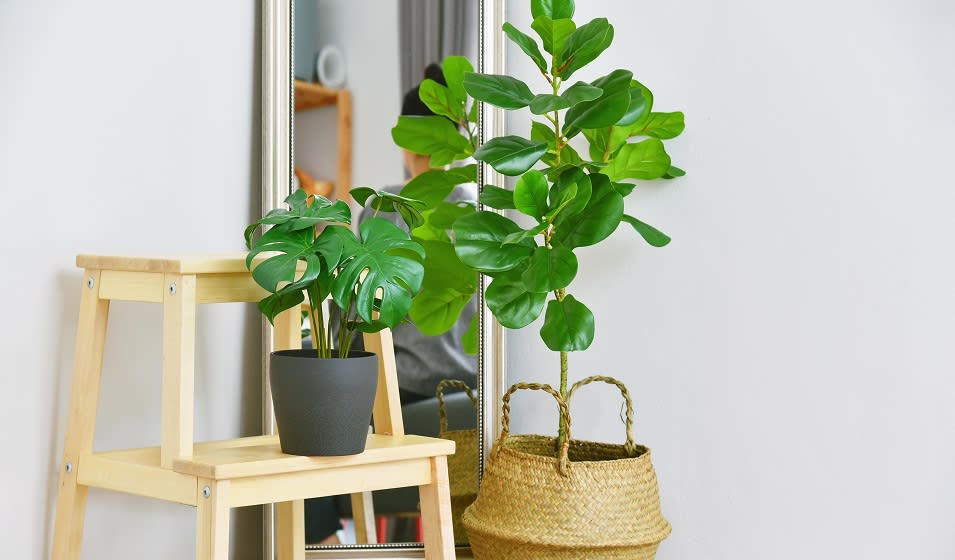 Plante artificielle de salon : laquelle choisir pour la décoration ? -  Jardiland