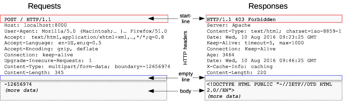 https://res.cloudinary.com/idiomprog/image/upload/v1616226497/httpmsgstructure2_htshjp.png