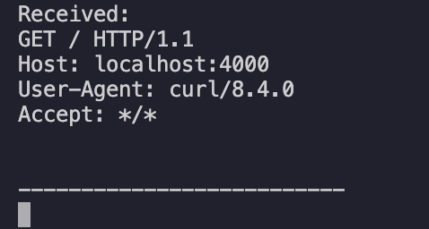 Raw HTTP request