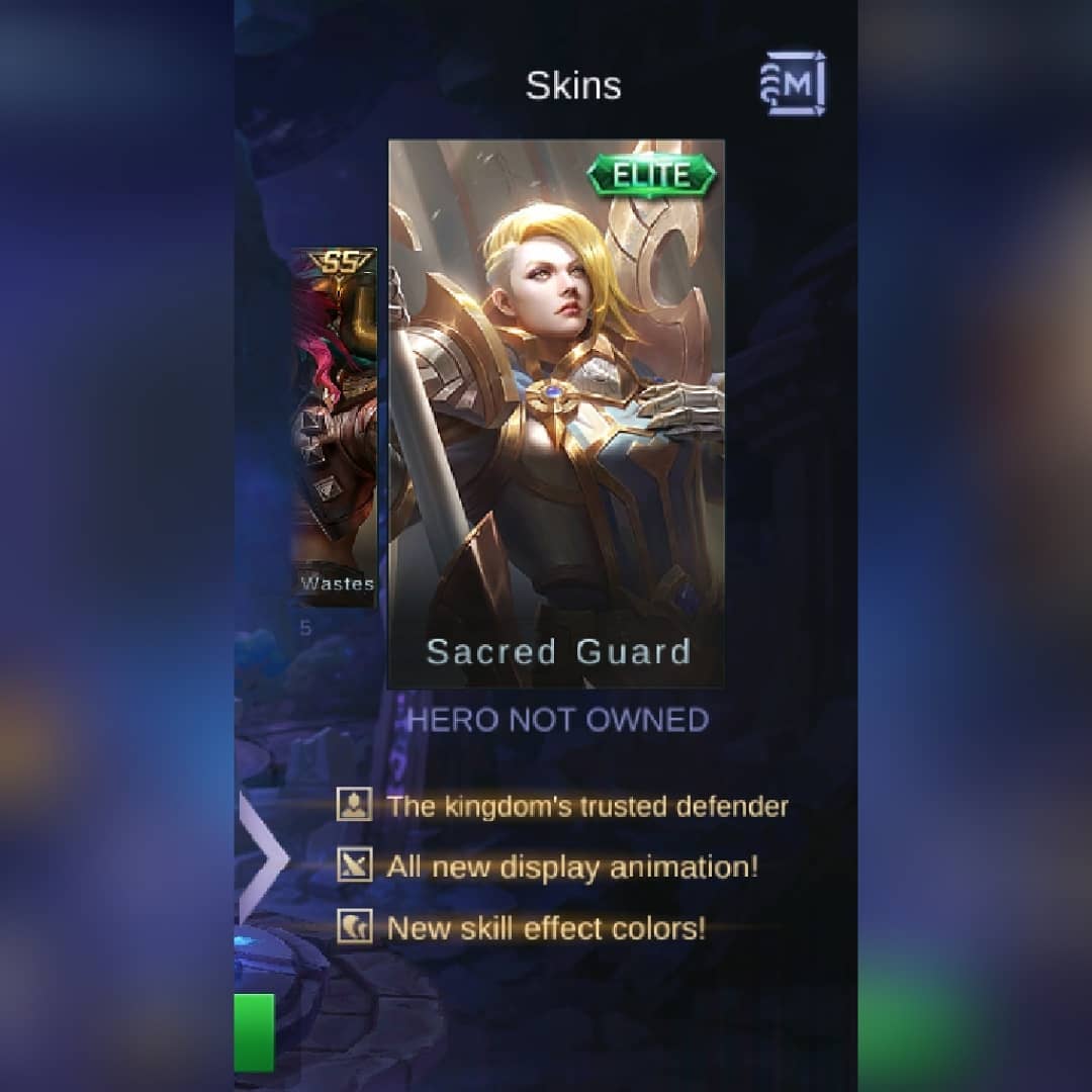 Skin Hilda Sacred Guard