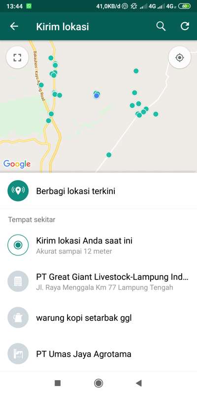 Berbagi Lokasi Terkini