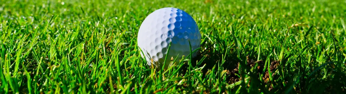 a golf ball on the green with a blue sky