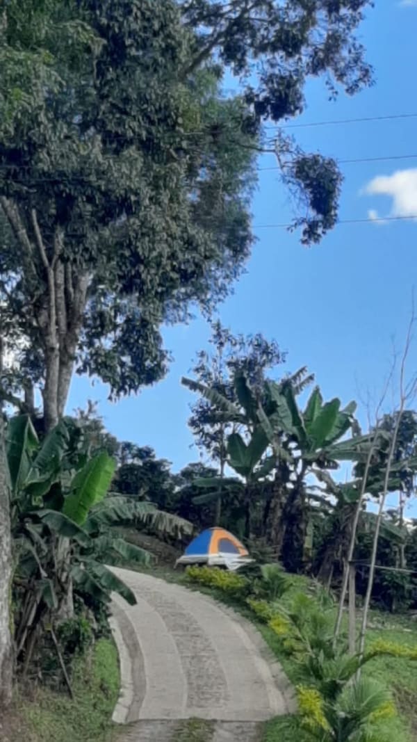 Camping 2