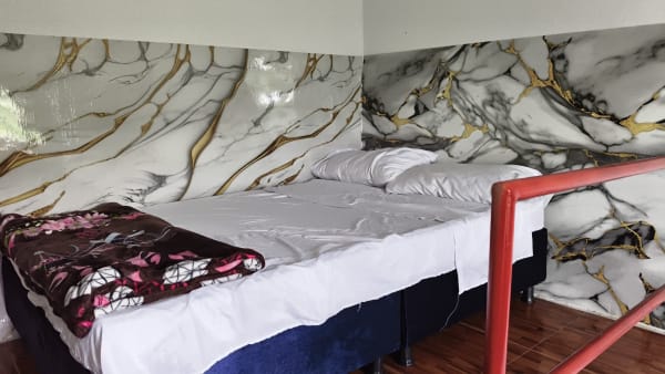 Habitación 8