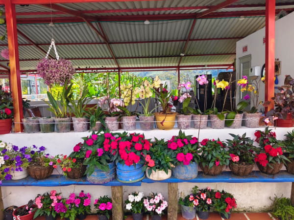 Jardín