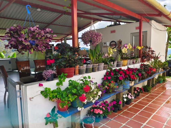 Jardín 2