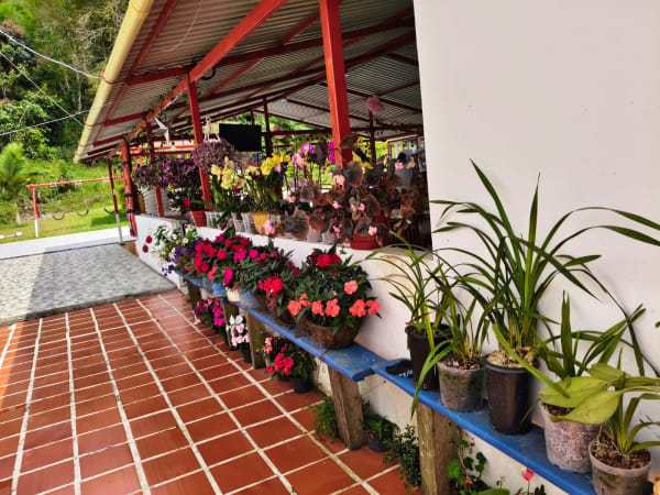 Jardín 3