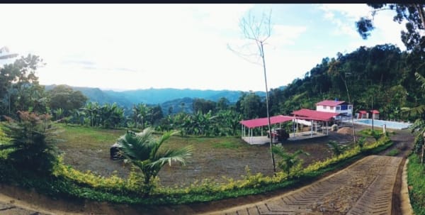 Panorámica de la finca