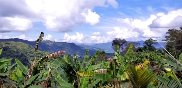 Vista a las montañas