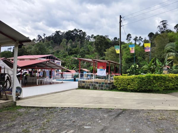 Vista tarima 3