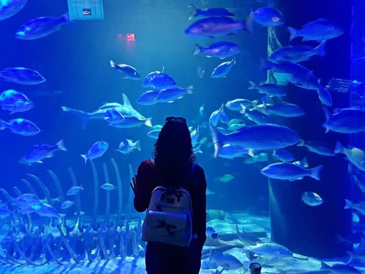 Tour acuario ciudad de mexico