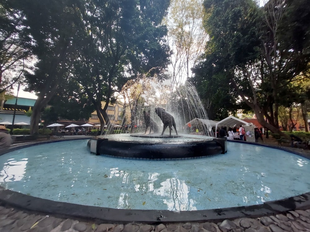 Tour Coyoacan ciudad de mexico