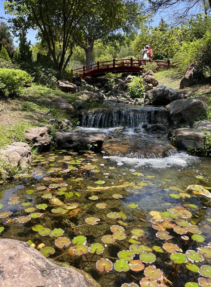 Tour Jardínes de México