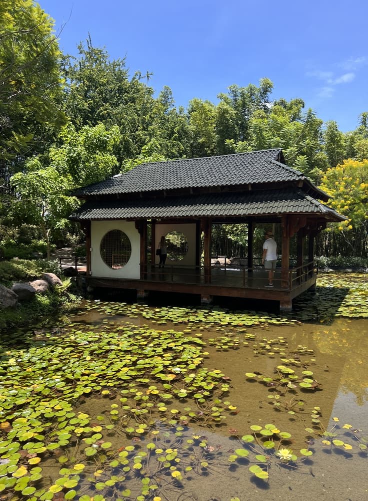 Tour Jardínes de México