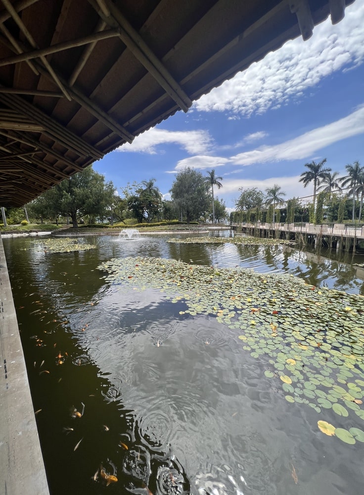 Tour Jardínes de México