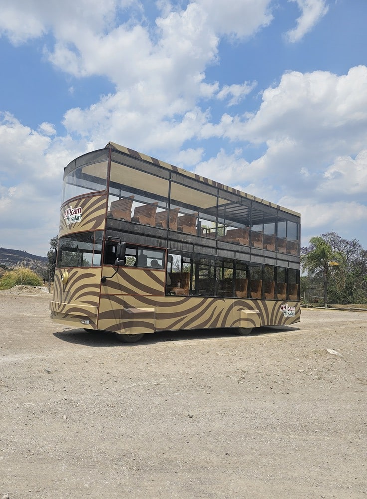 Tour Africam Safari