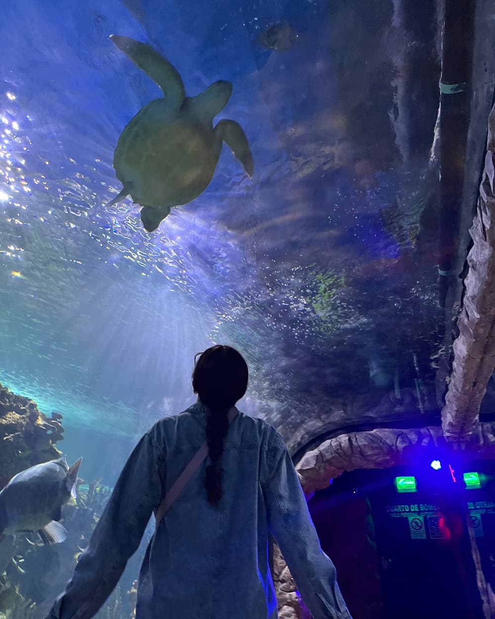 Tour Acuario Inbursa