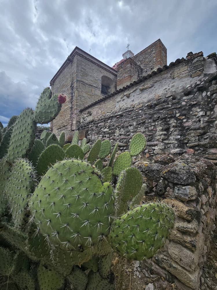 Tour Oaxaca