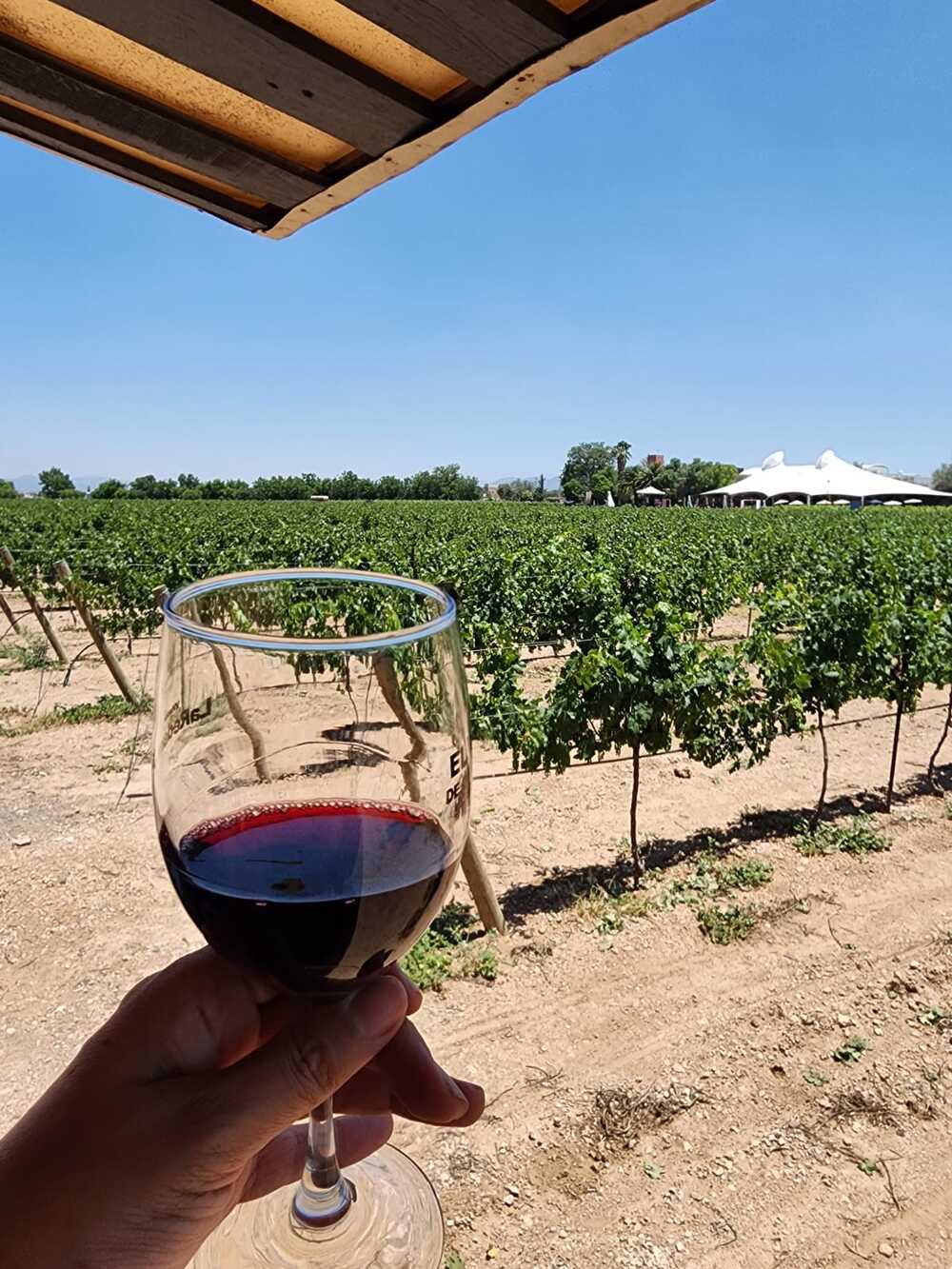 Tour Ruta del queso y del vino