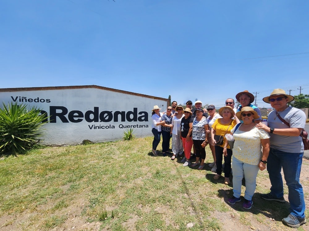 Tour Ruta del queso y del vino