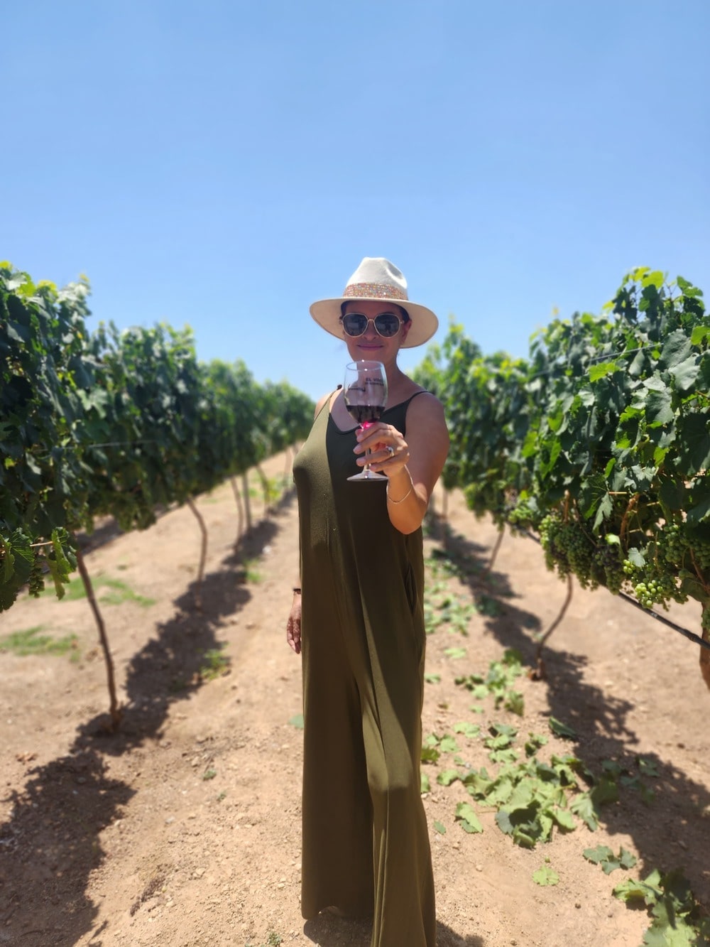 Tour Ruta del queso y del vino