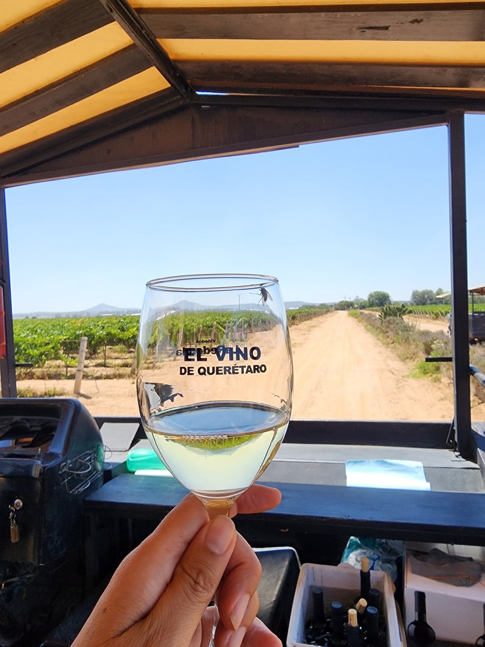 Tour Ruta del queso y del vino