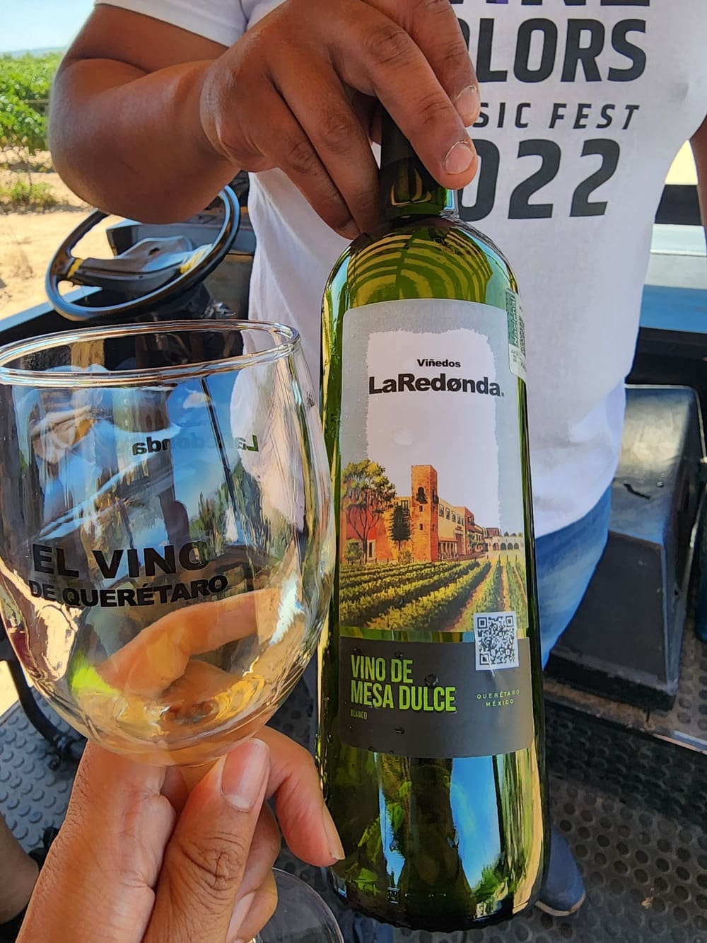 Tour Ruta del queso y del vino