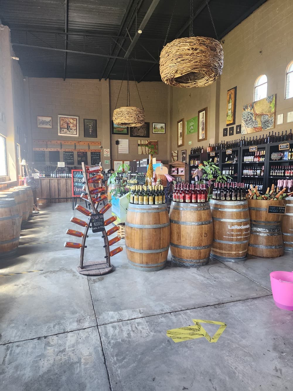 Tour Ruta del queso y del vino