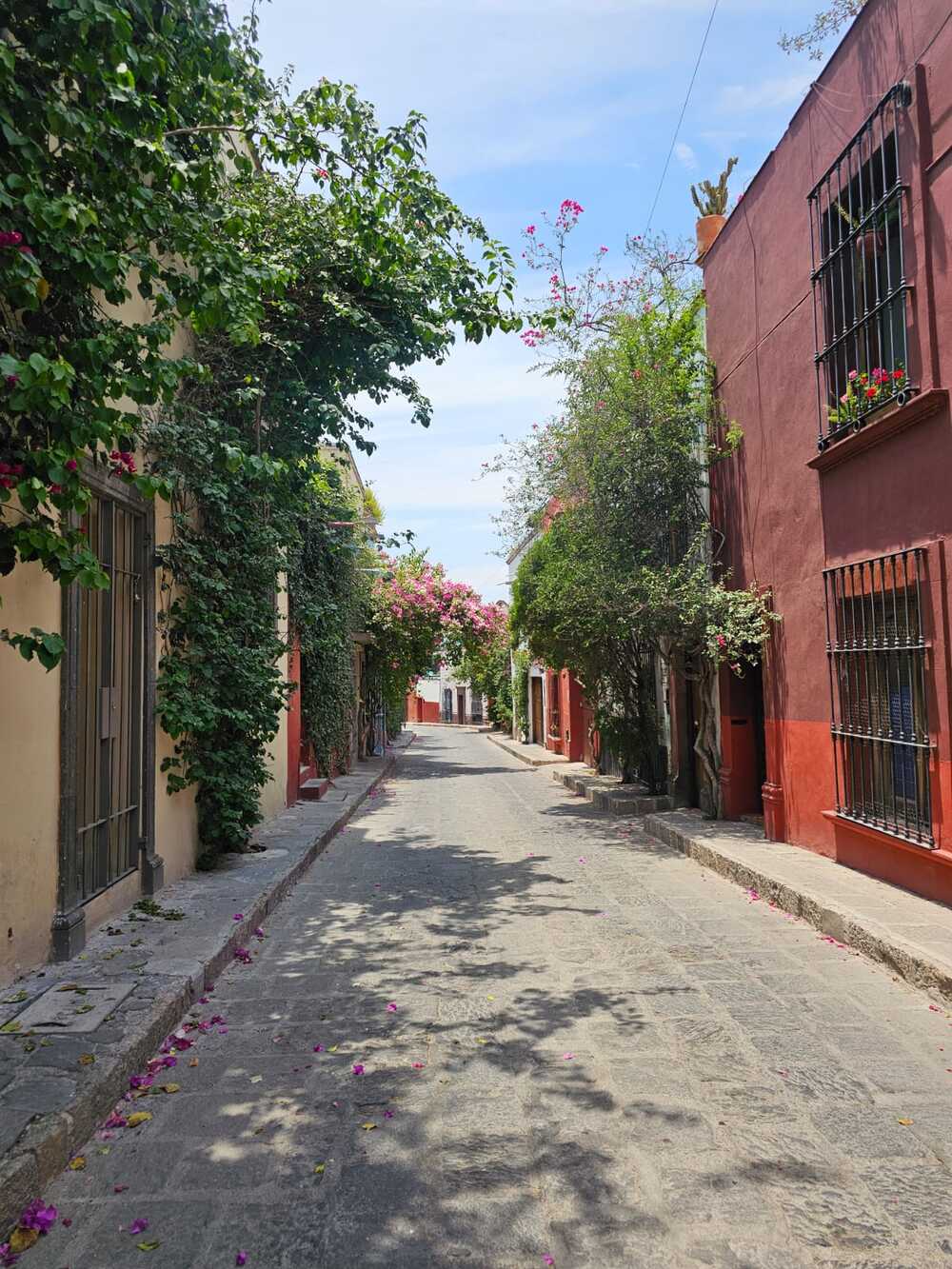Tour San Miguel De Allende
